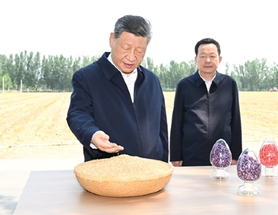 莽小五上树