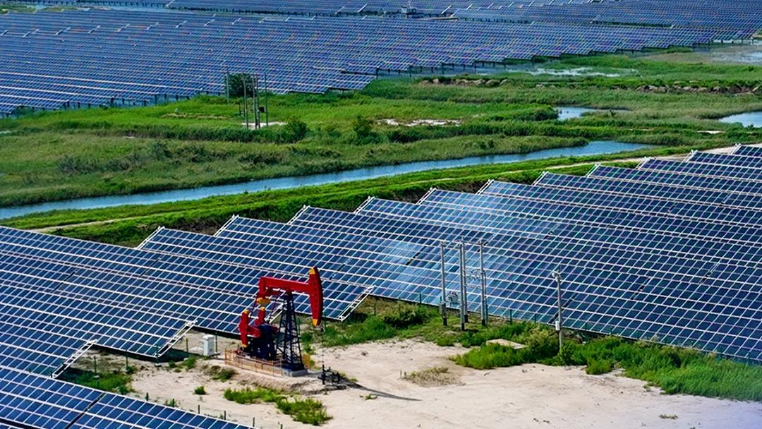 联合国难民署举办研讨会纪念《关于难民地位的公约》通过75周年
