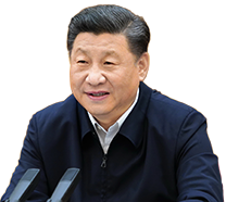 天猫双今晚点正式开启