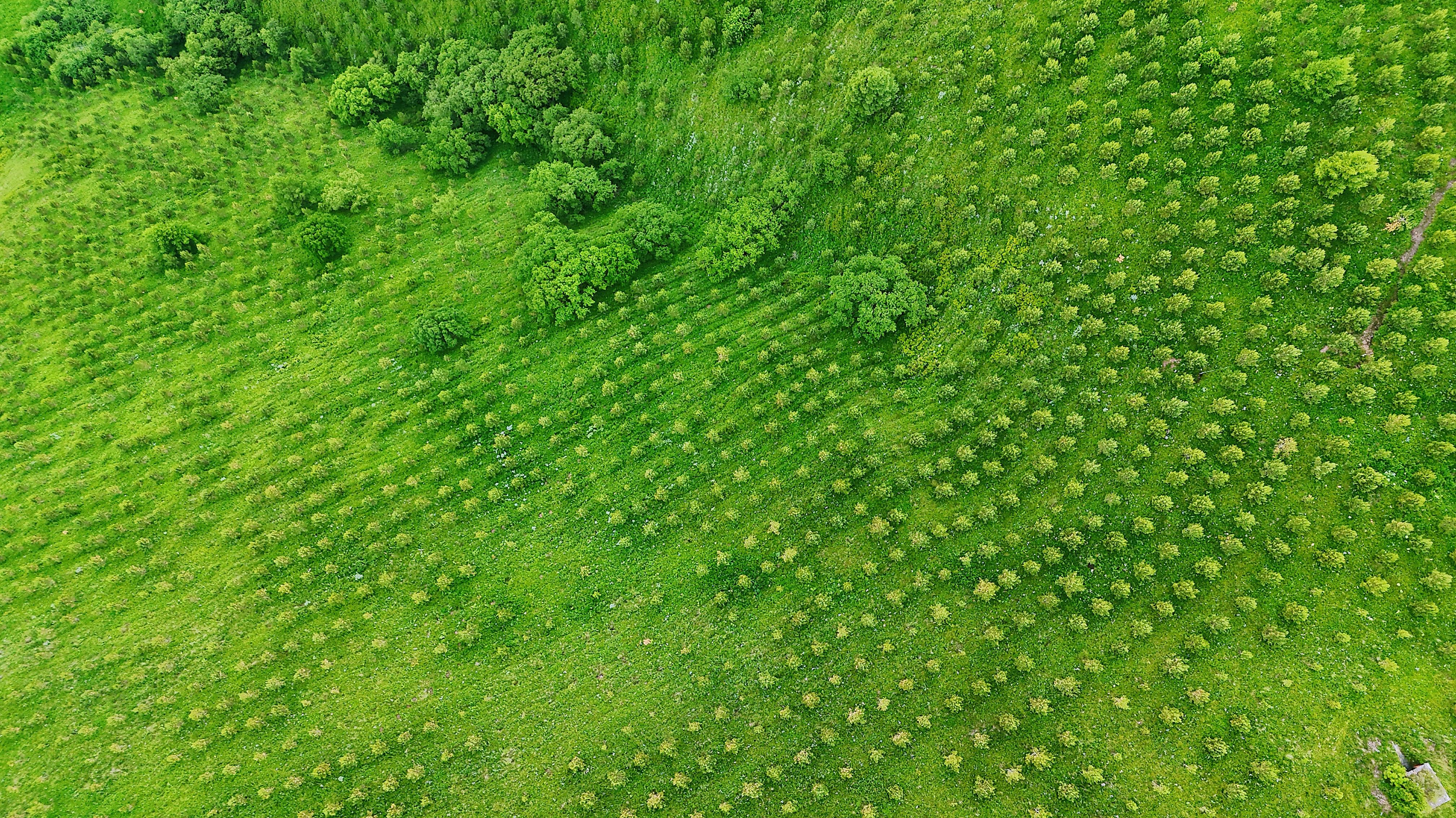 焦点访谈｜如何走好新的长征路？他们用实干担当给出答案
