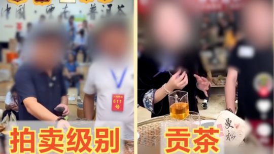 海量高清资源