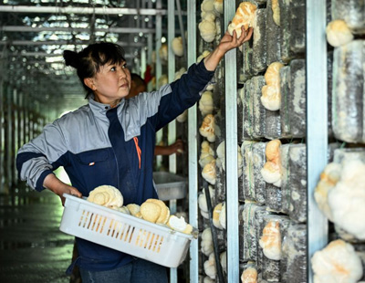 中央网信办：即日起开展为期3个月的“清朗·整治账号名称信息乱象”专项行动
