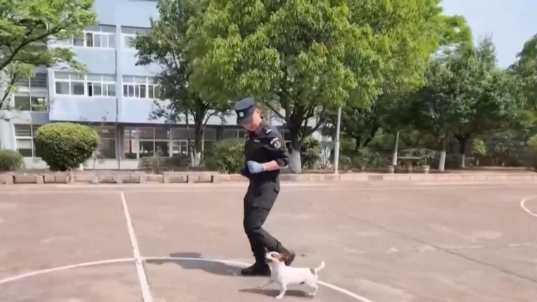 海量高清资源
