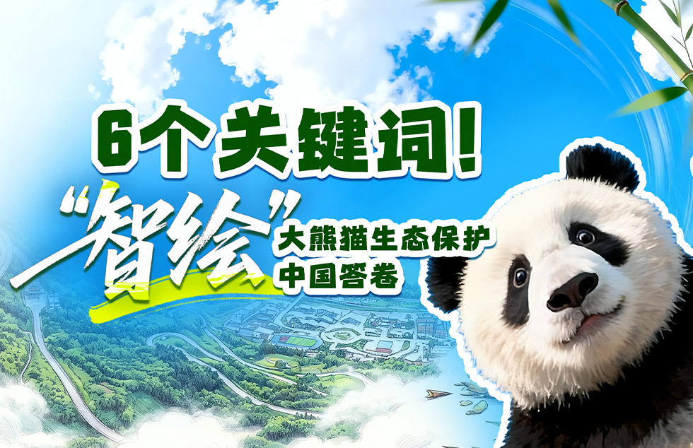 总书记对常态化做好东西部协作工作重要指示催人奋进