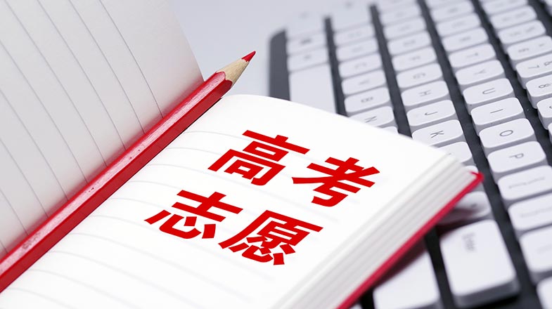 对战